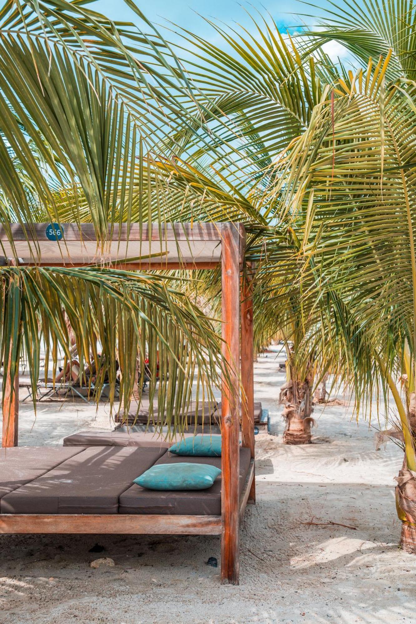 Chogogo Dive & Beach Resort Bonaire คราเลนไดค์ ภายนอก รูปภาพ